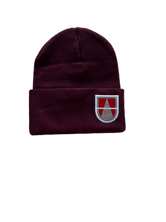 1 61st Engineer Support Company Beanie